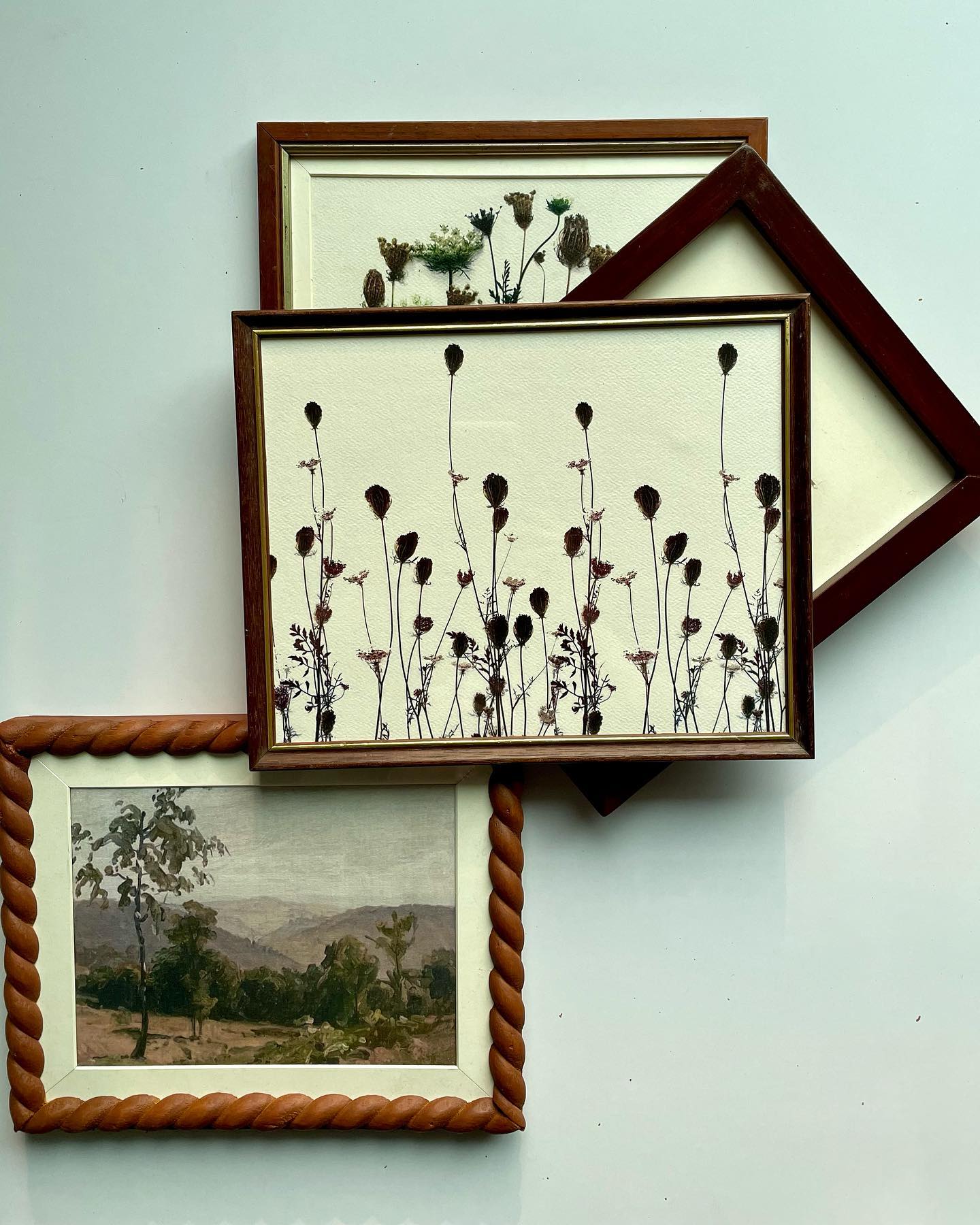 Colorful frames collection