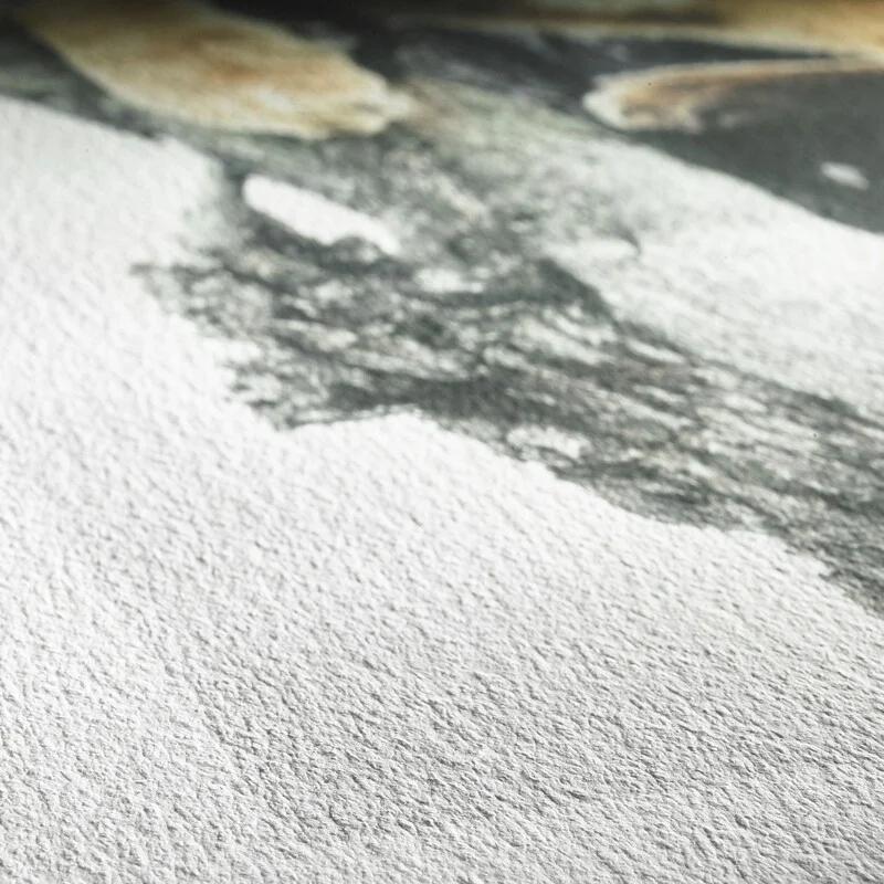 Hahnemühle German Etching paper